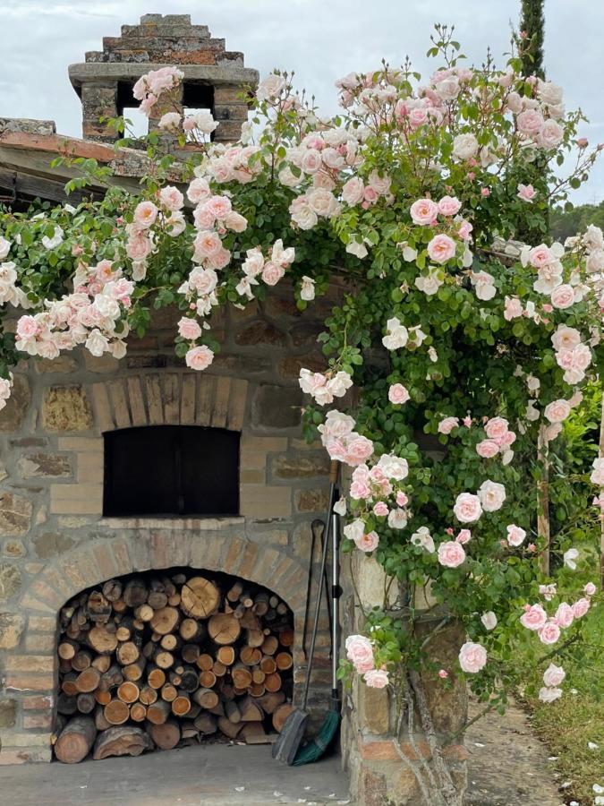 Tenuta San Filippo Montalcino Luaran gambar