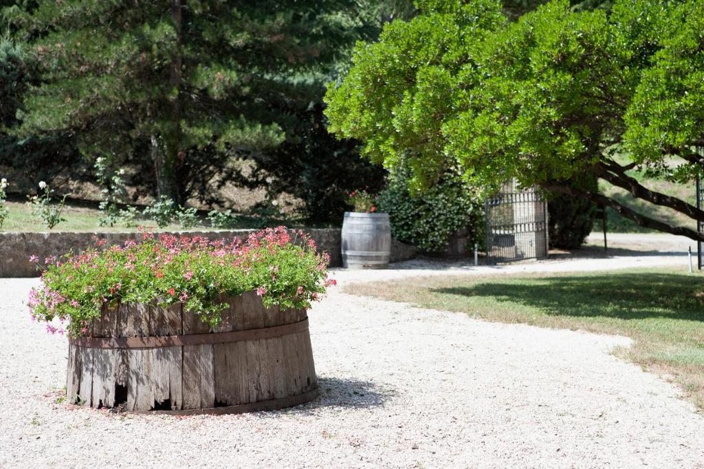 Tenuta San Filippo Montalcino Luaran gambar