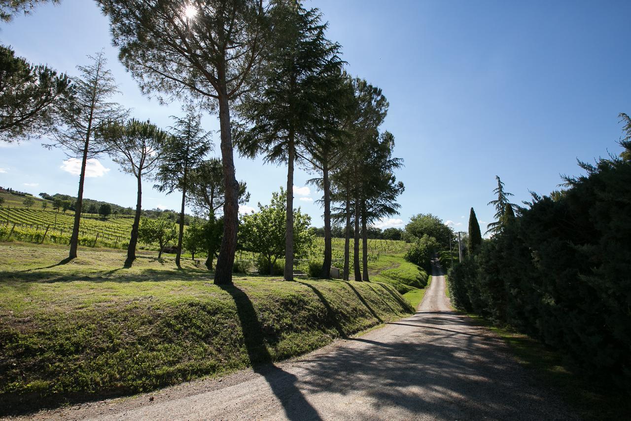 Tenuta San Filippo Montalcino Luaran gambar